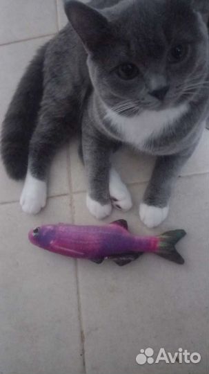 Рыбка игрушка для котов с мятой