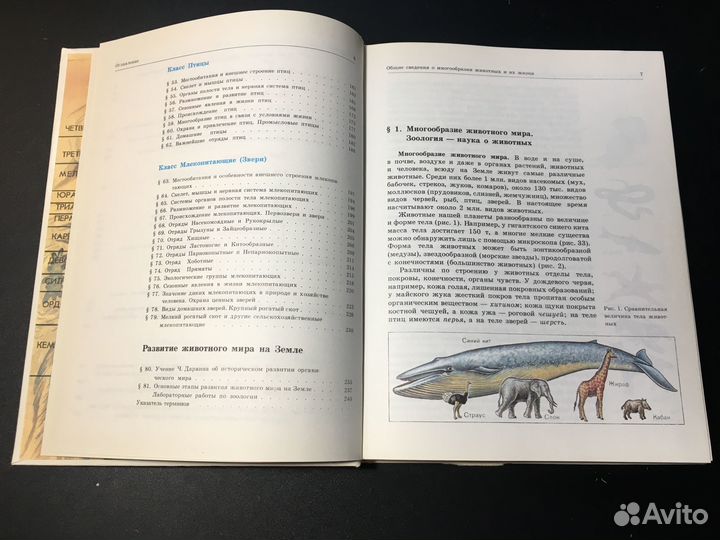 Биология: Животные, 7-8 класс, Никишов, 1998
