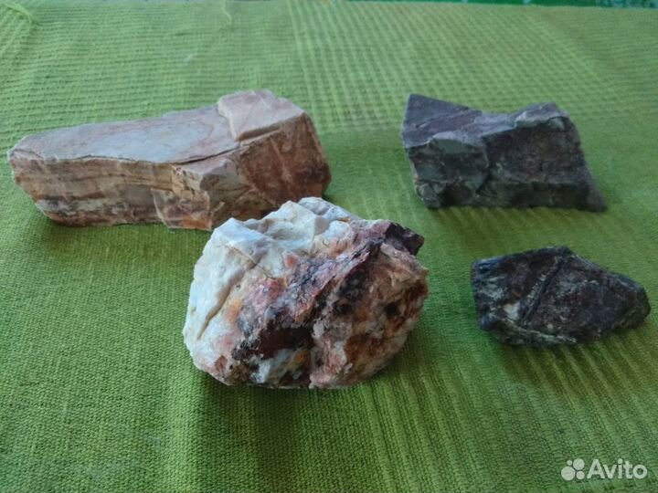 Камушки и ракушки из моря. Камни из Урала