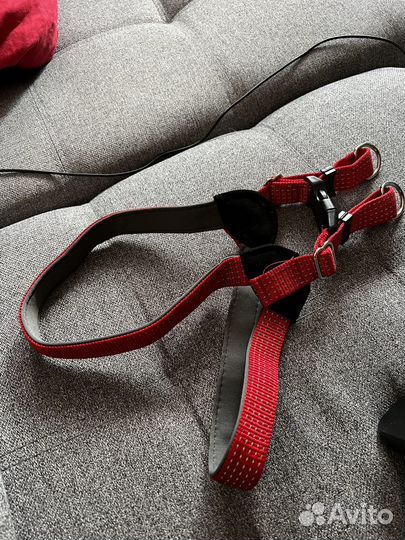 Шлейка нейлоновая светоотражающая L