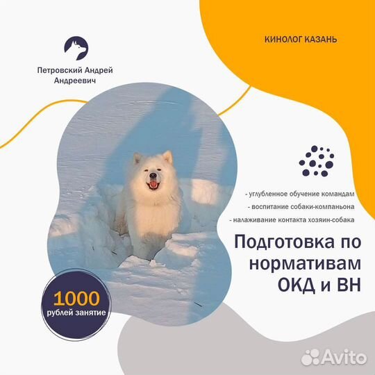 Дрессировка собак. Кинолог