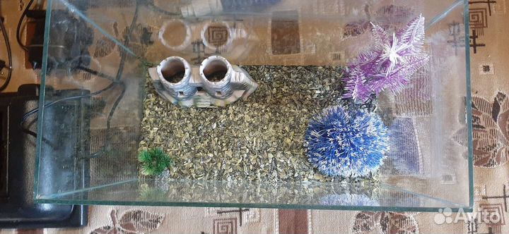 Аквариум с декором
