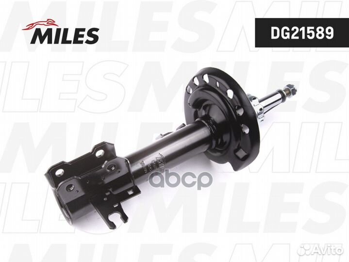 DG21589 DG21589 Miles