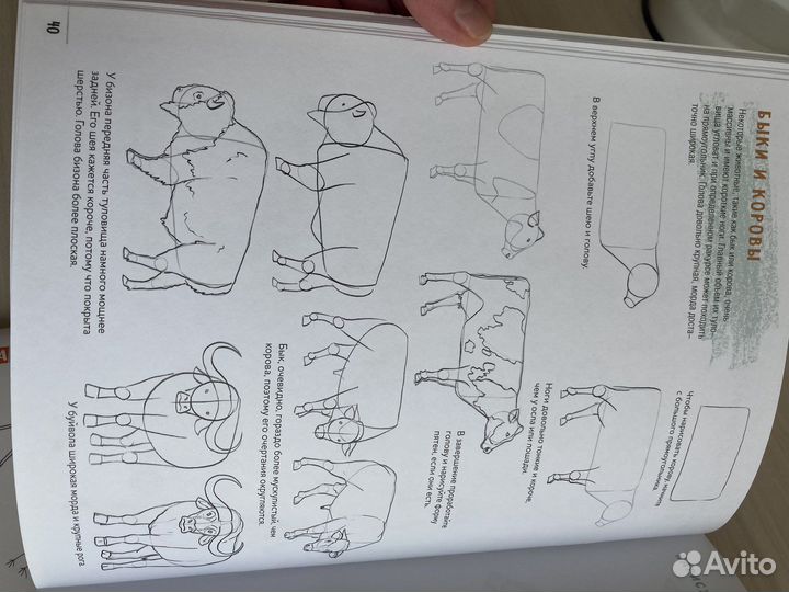 Создаем наброски