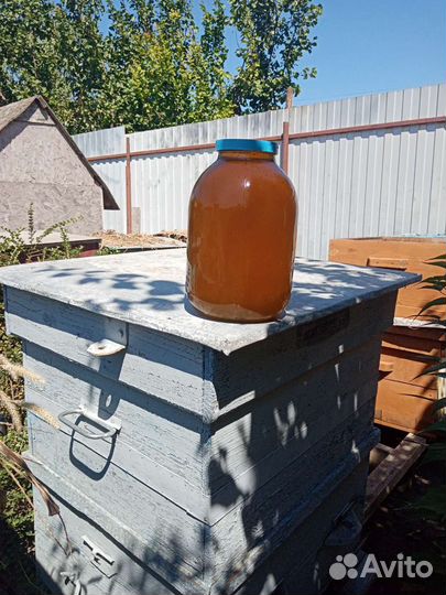 Мёд со своей пасеки