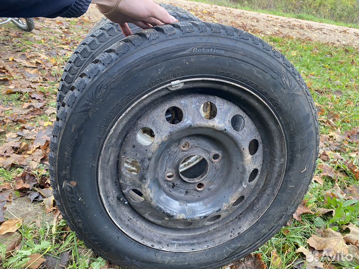 Nexen Winguard WinSpike 3 185/65 R15