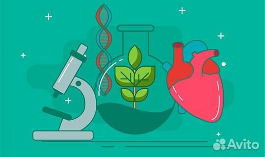 Репетитор по биологии онлайн