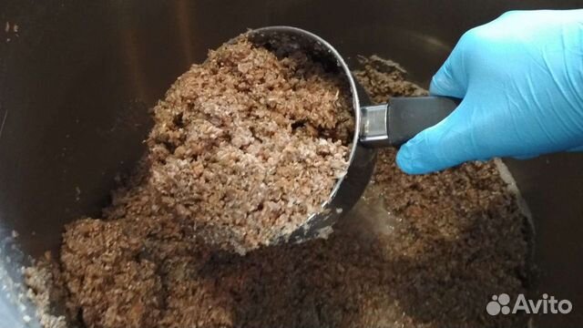 Пивная дробину