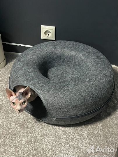 Домик лежанка для кошки из войлока