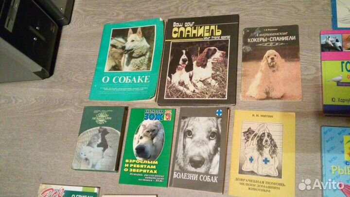 Дача, животные, лек травы, растения, кулинария