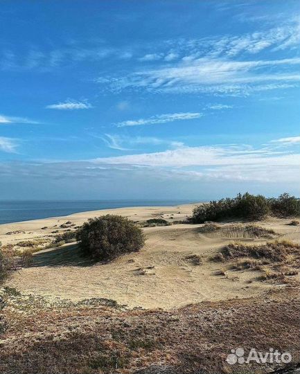 Экскурсии. Гид по Калининграду и области