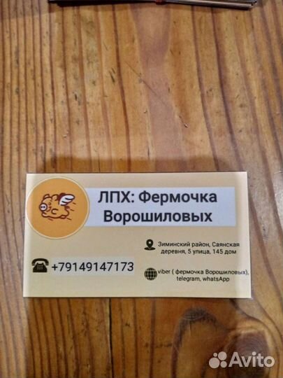 Тушки перепелов