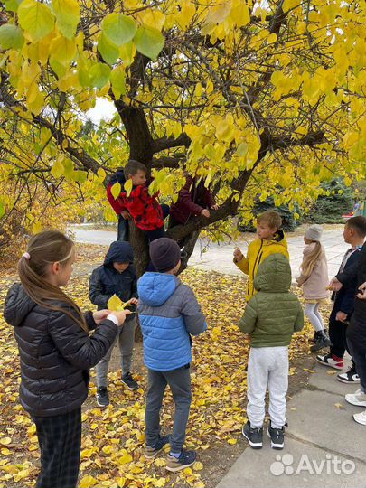 Набор детей в 0,1,2,3 начальные классы