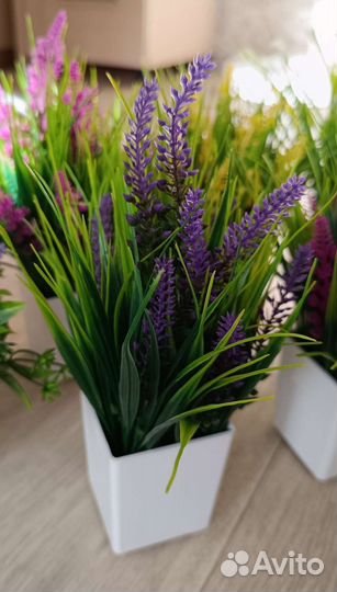 Искусственные растения