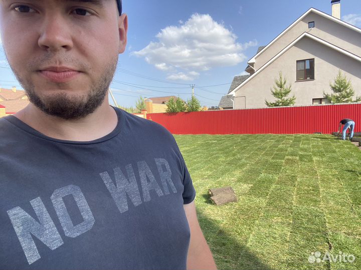 Рулонный газон г.Омск