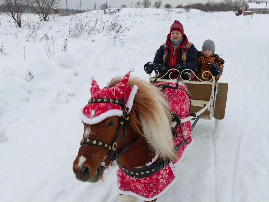 Попоны для пони под евроупряжь