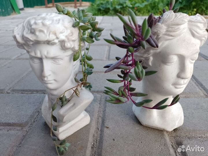 Крестовники