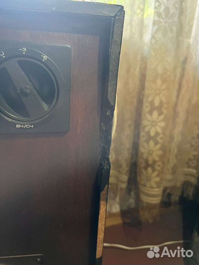 Колонки радиотехника s90