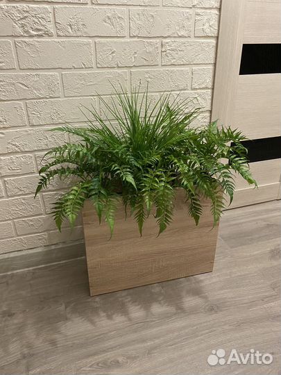 Кашпо перегородка с растениями