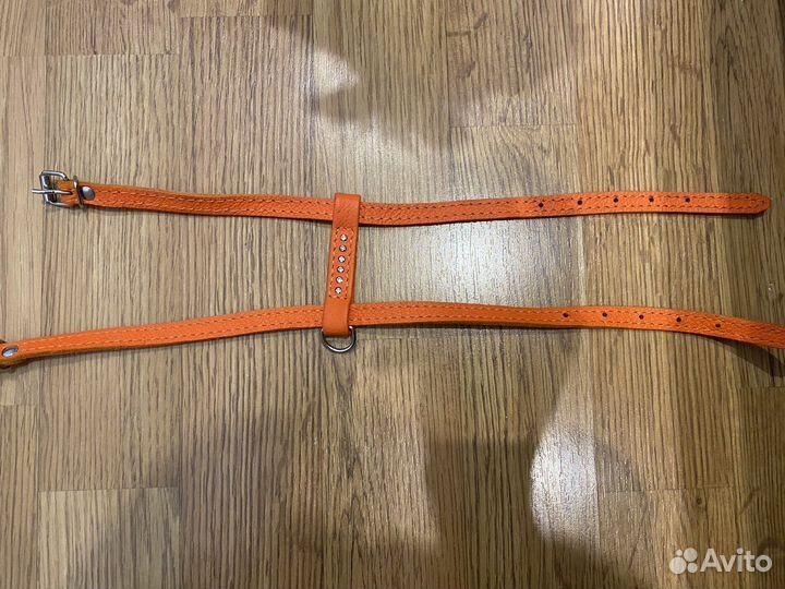 Шлейка для собаки