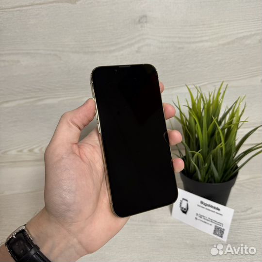 iPhone 13 Pro, 512 ГБ