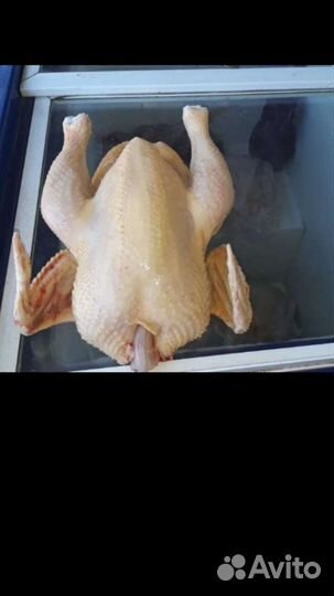 Тушка бройлера