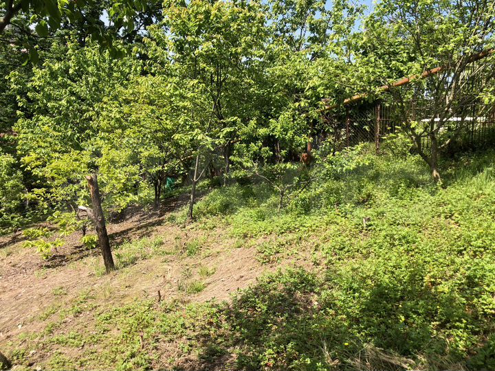 Участок 6,9 сот. (СНТ, ДНП)