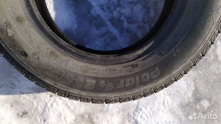 Foman Polar Bear 14/70 R180