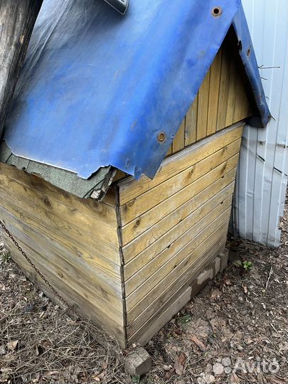 Будка для собаки бесплатно