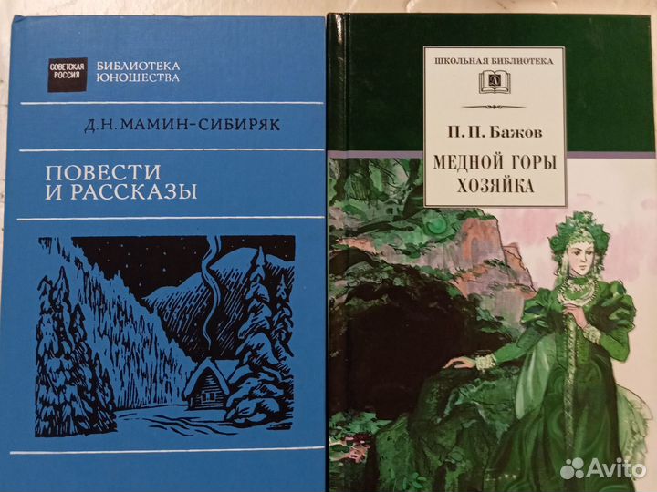 Книги по внеклассному чтению для Петра