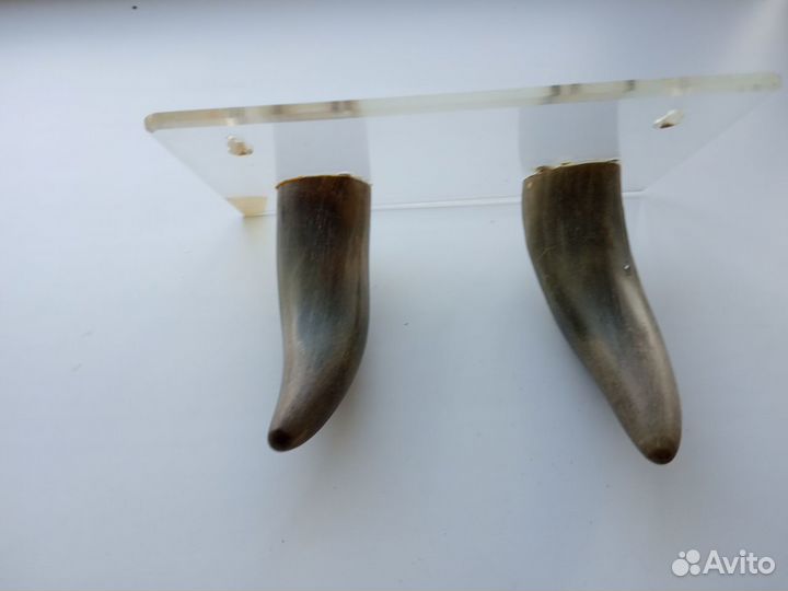 Вешалки, рога коровьи для поделок