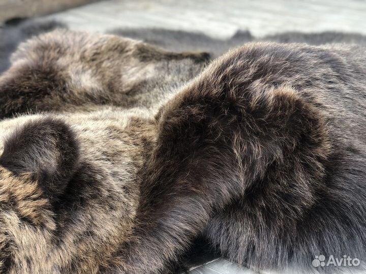 Шкура/чучело