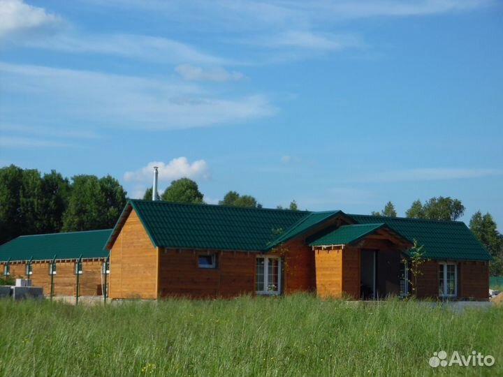 Передержка, зоогостиница для животных