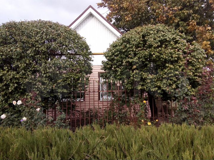 Дом 99 м² на участке 25 сот.