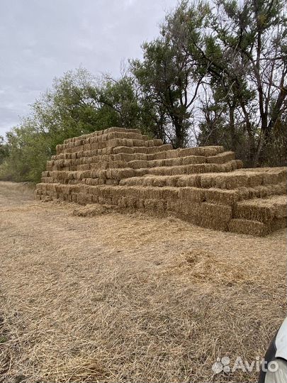 Солома в тюках для мульчирования