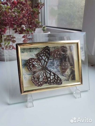 Рамка-бабочки