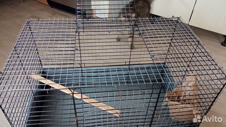Большая клетка для собаки/кролика/крыс/шиншиллы