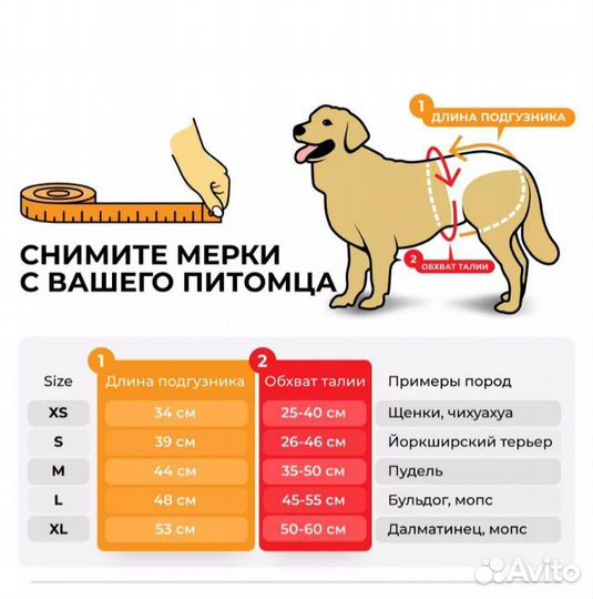 Подгузники для котов, кошек, мелких собак