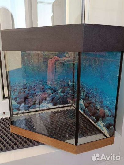 Аквариум высота 35см.Ширина стен 31,31,25, 13,13см
