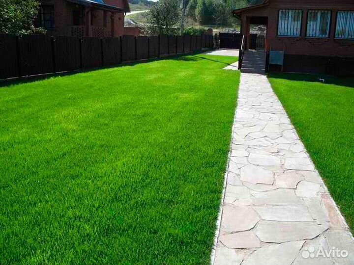 Рулонный газон стандартный
