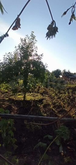 Участок 4 сот. (СНТ, ДНП)