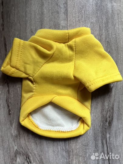 Одежда для собак чихуахуа