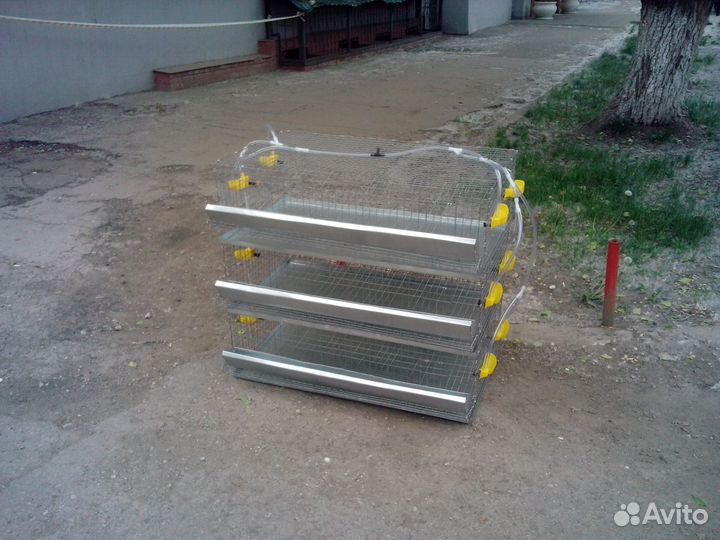 Клетка для перепелов на 150 штук