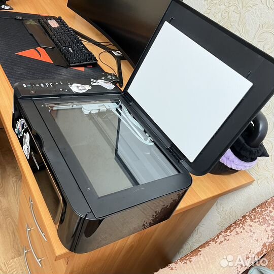 Принтер мфу Canon pixma MG3640S