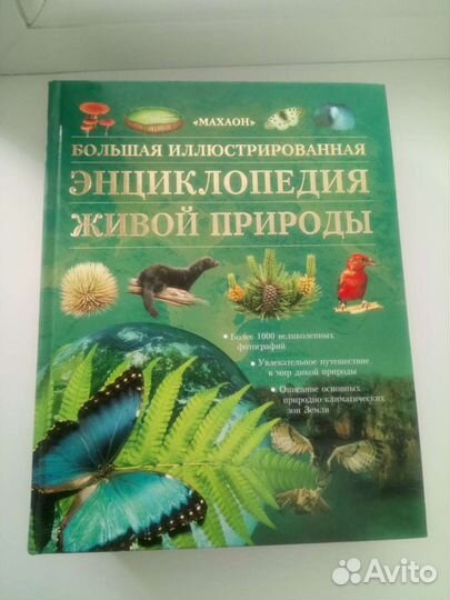 Детские энциклопедии