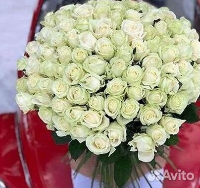 Высокие розы Гигантские розы Доставка цветов