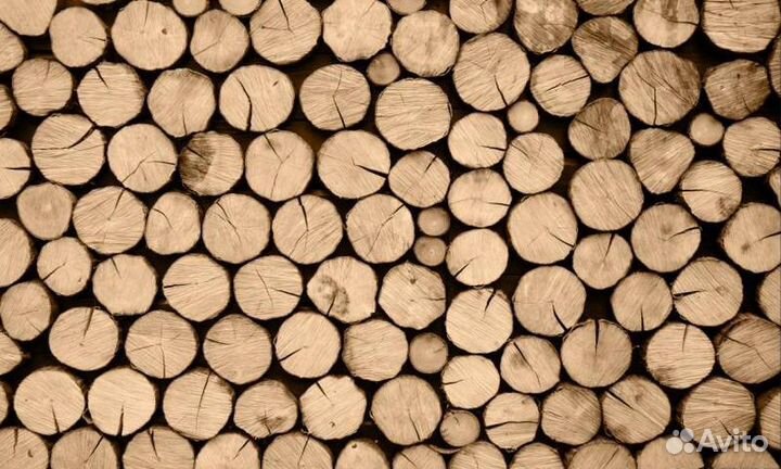 Закуп сырья для производства древесного угля