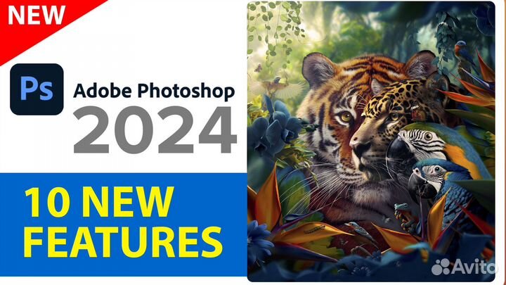 Adobe photoshop 2024