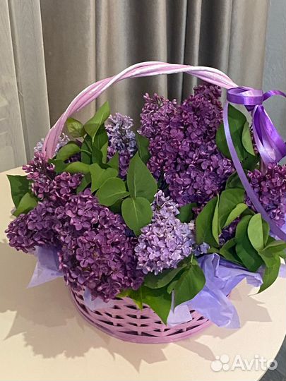 Букет из сирени