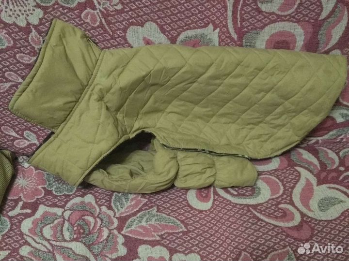 Попона для собак